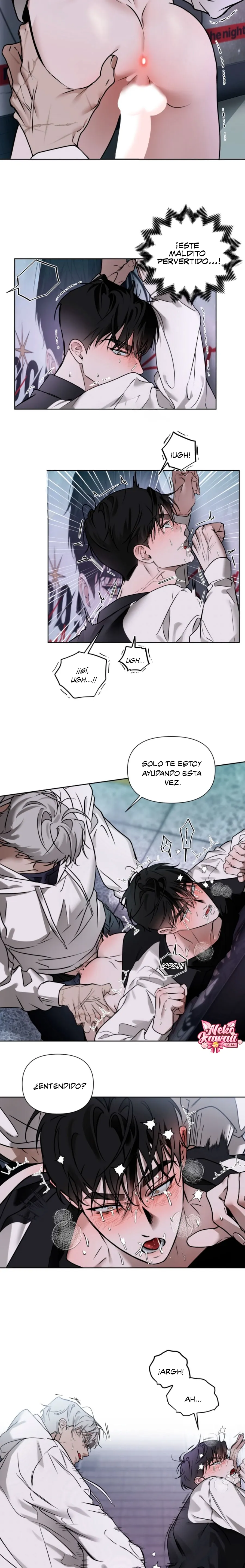 13 El diario de muñecas