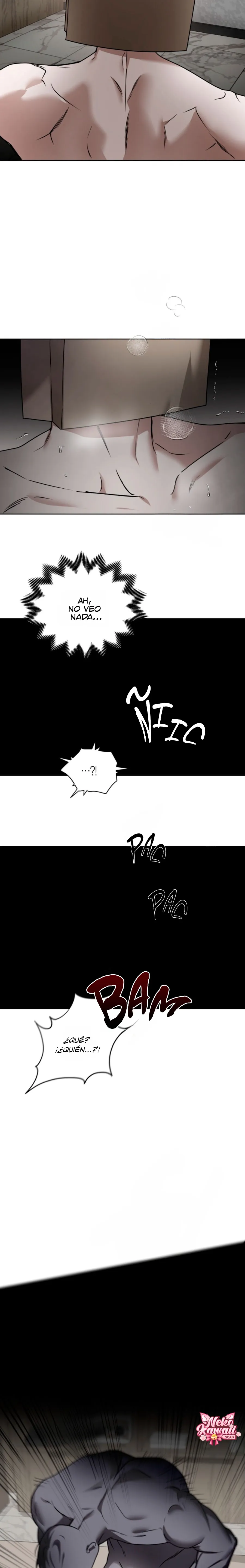 11 El diario de muñecas