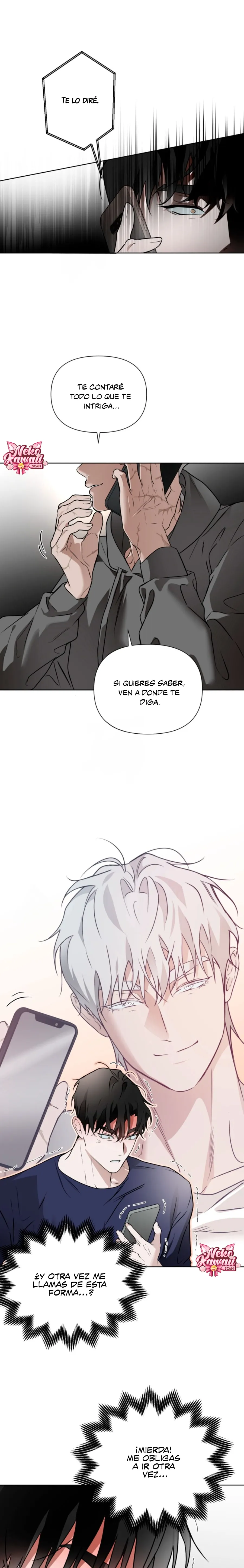 15 El diario de muñecas