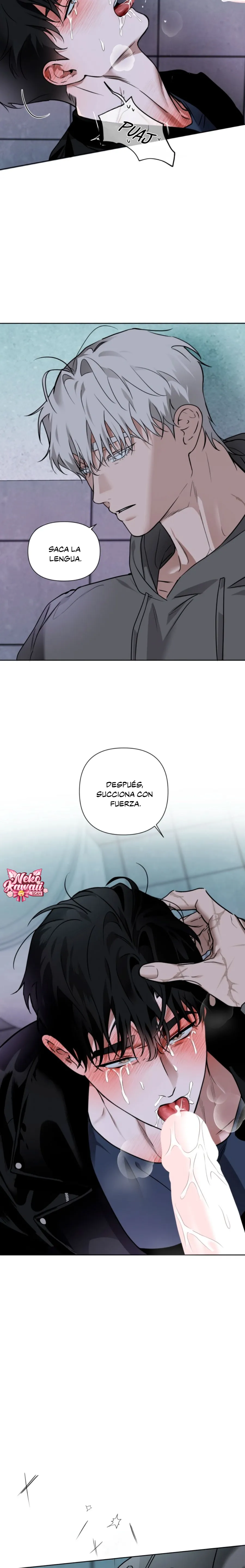 16 El diario de muñecas