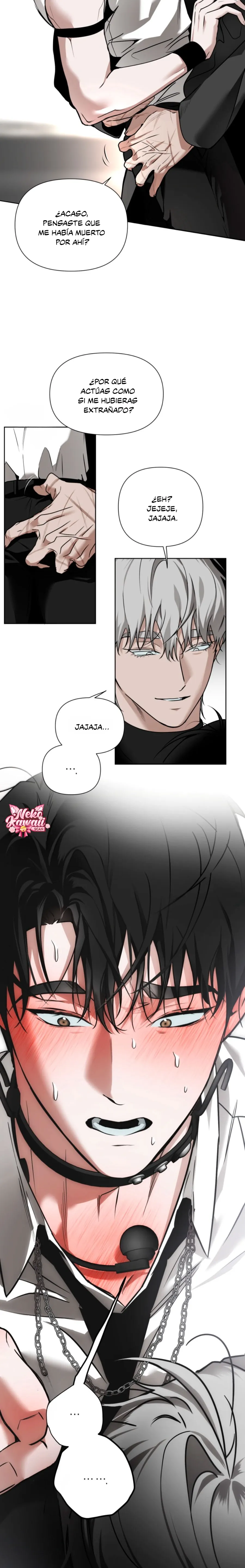 6 El diario de muñecas