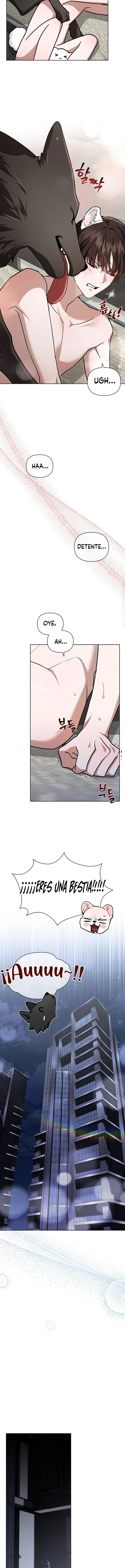 8 No toques al perro