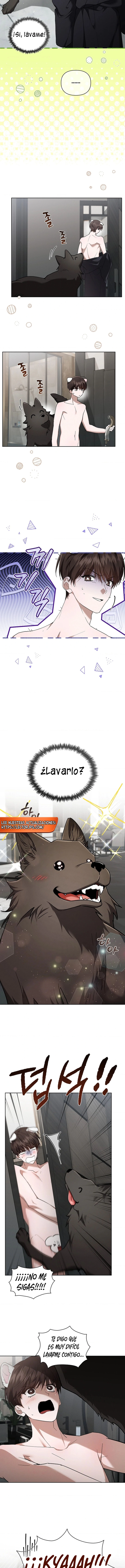 6 No toques al perro