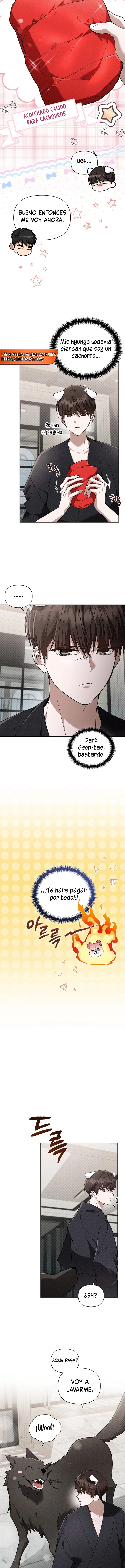 5 No toques al perro