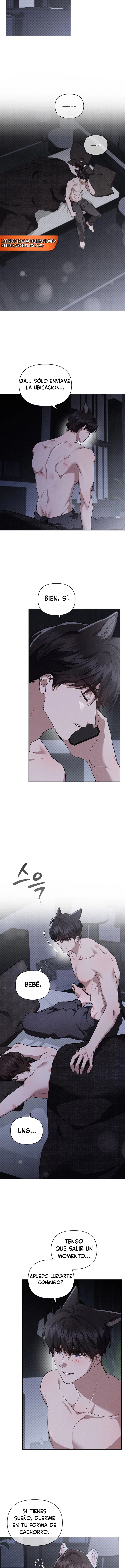 9 No toques al perro