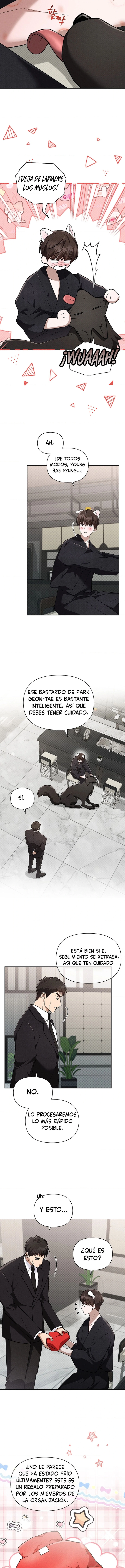 4 No toques al perro