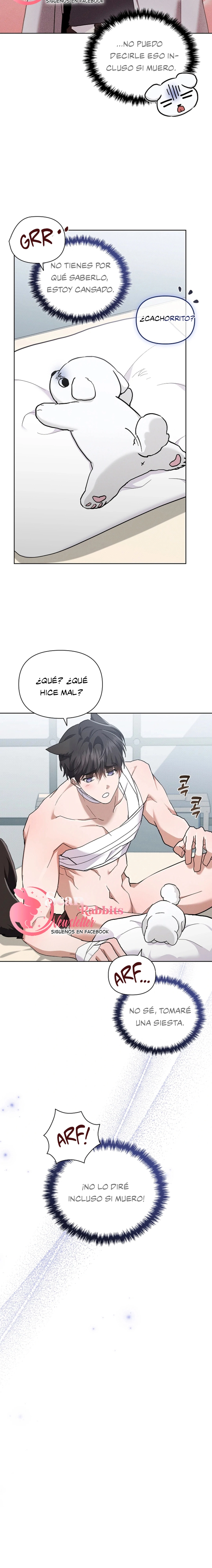 7 No toques al perro