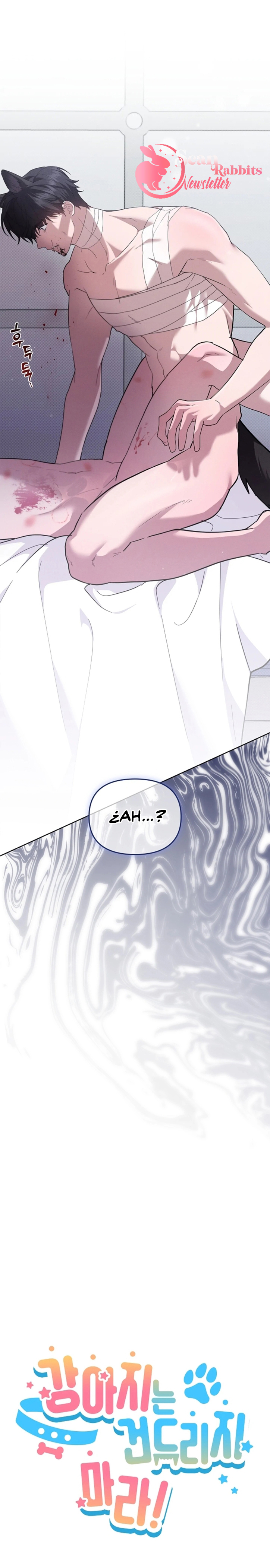 5 No toques al perro