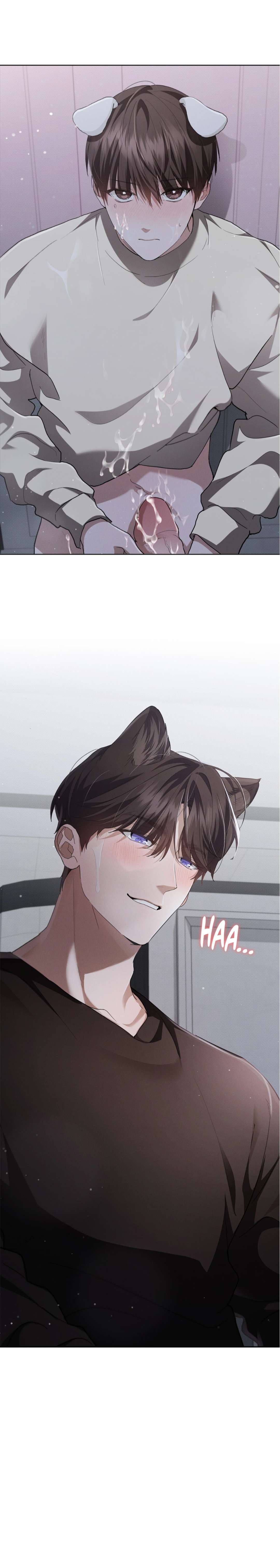 10 No toques al perro