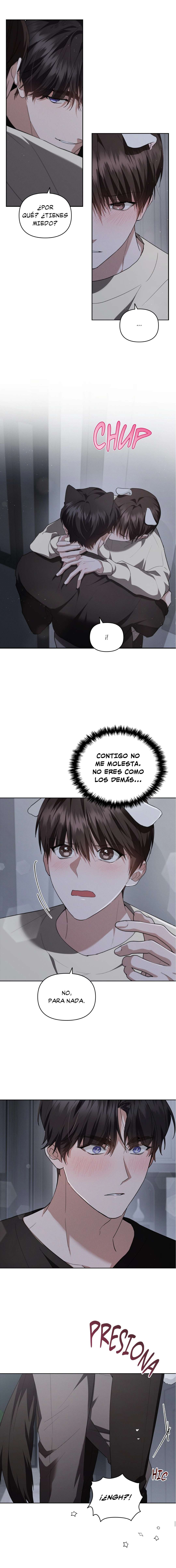 6 No toques al perro