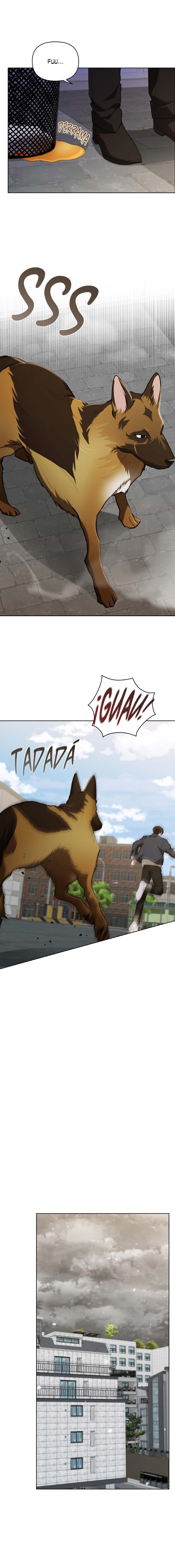 11 No toques al perro