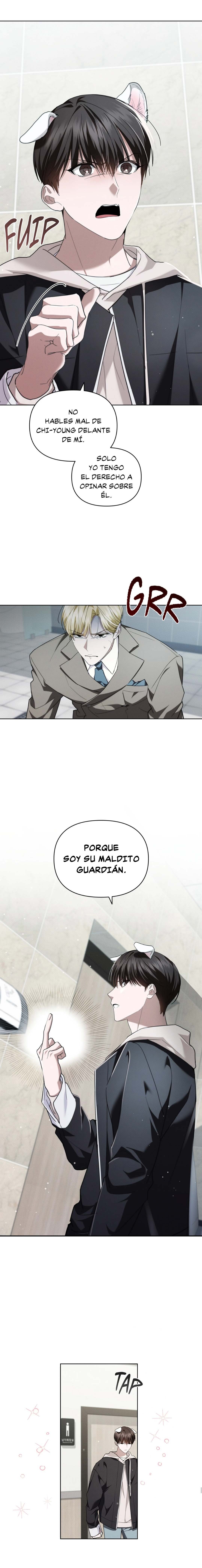 6 No toques al perro