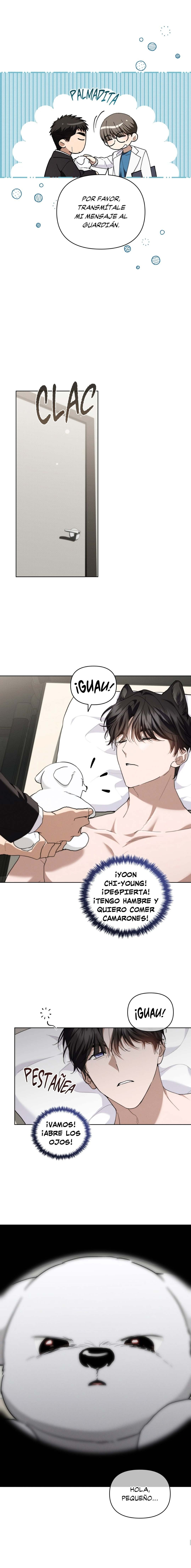 12 No toques al perro