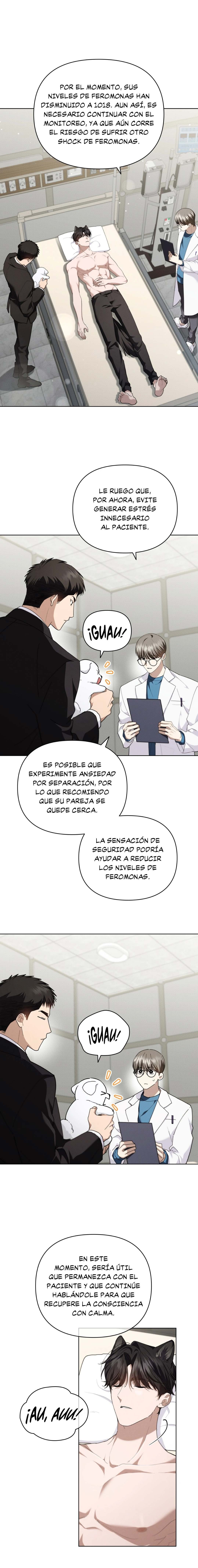 11 No toques al perro