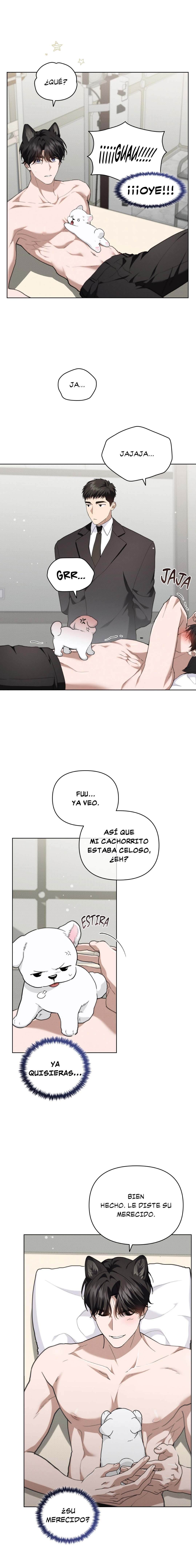 14 No toques al perro