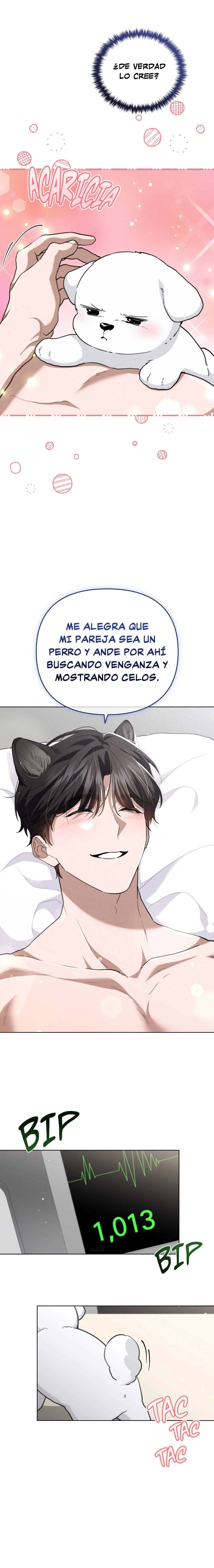 15 No toques al perro