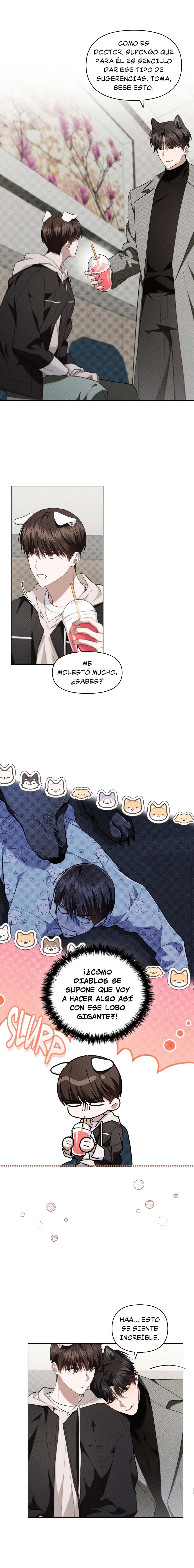 8 No toques al perro