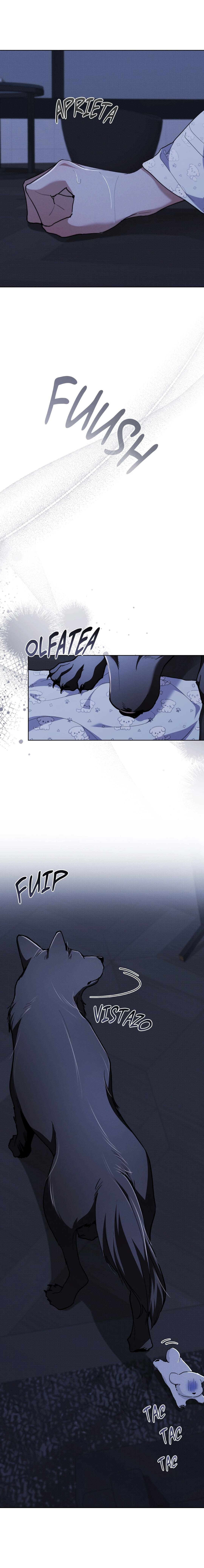 6 No toques al perro