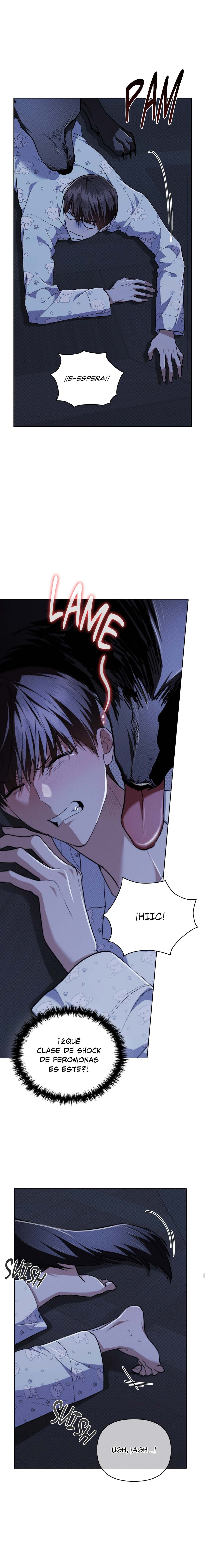 5 No toques al perro