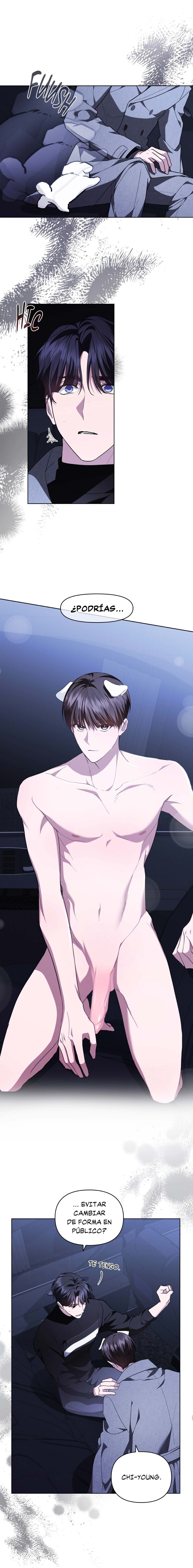 7 No toques al perro