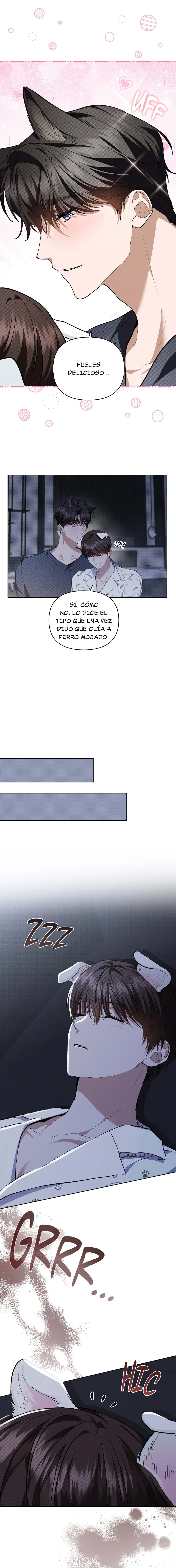 16 No toques al perro