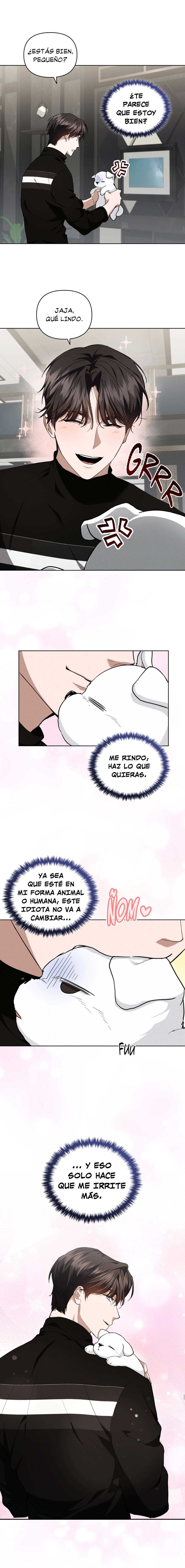 9 No toques al perro