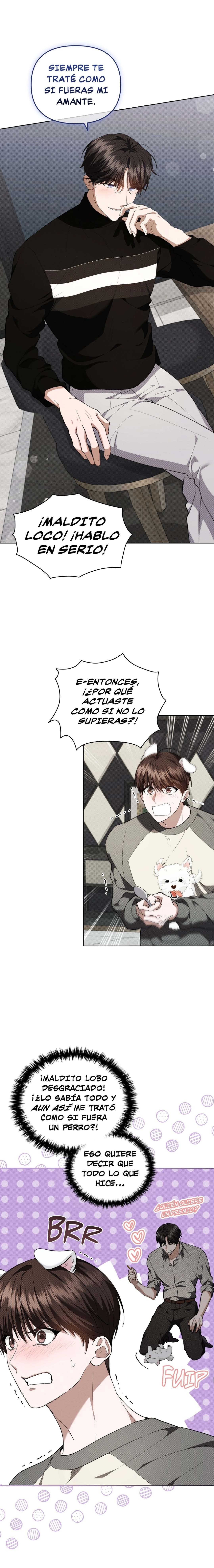 6 No toques al perro