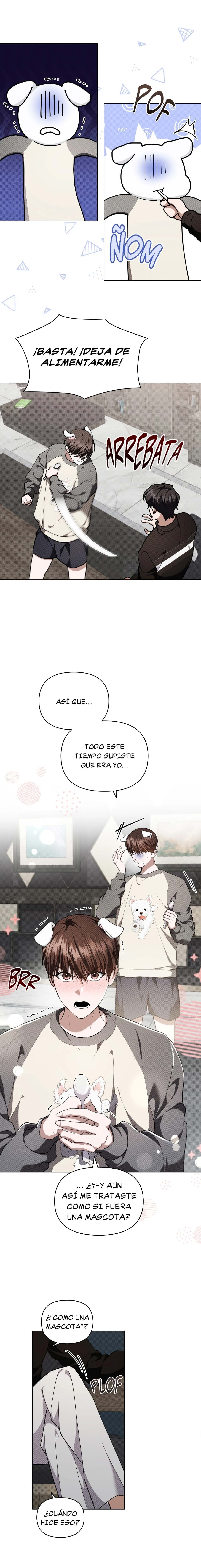 5 No toques al perro