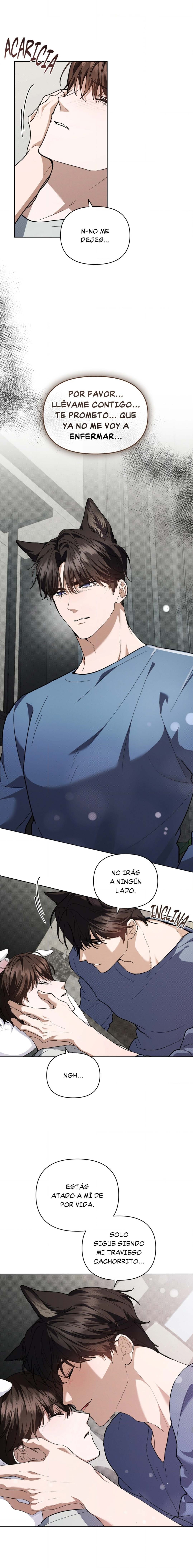 6 No toques al perro