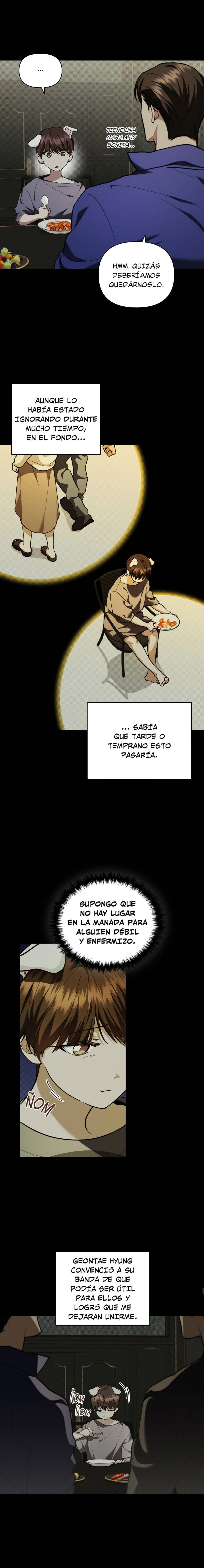 4 No toques al perro