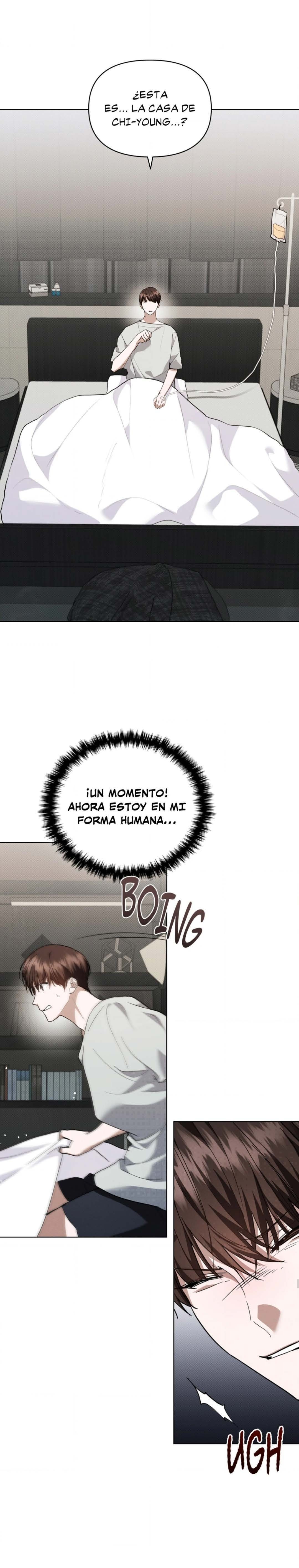 8 No toques al perro