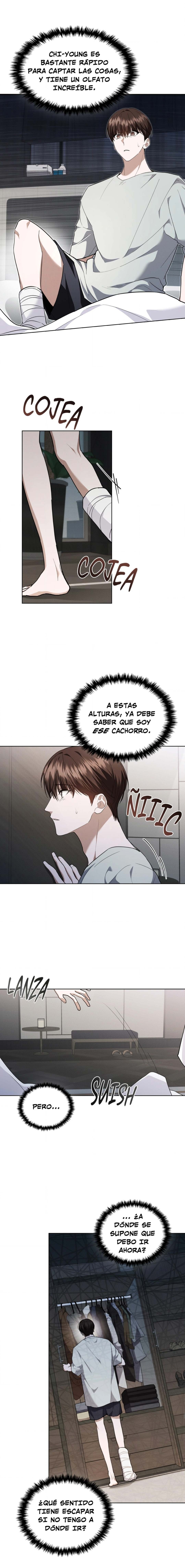 9 No toques al perro