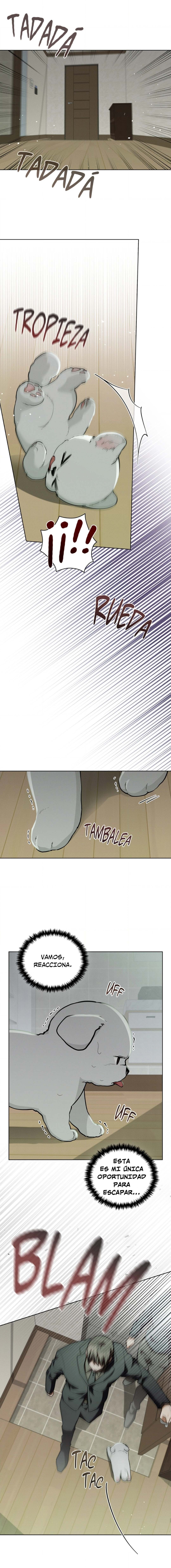 13 No toques al perro