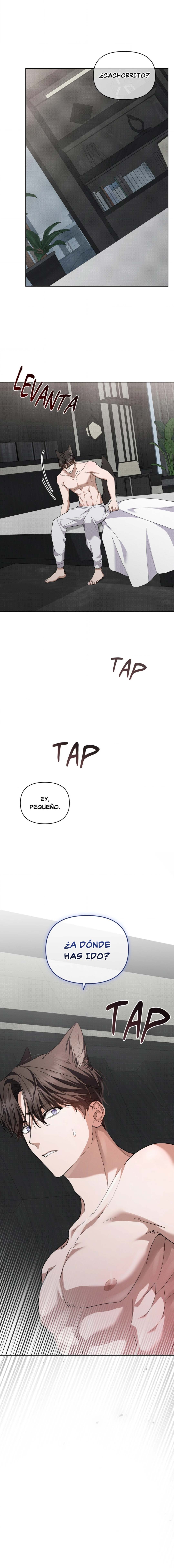 17 No toques al perro