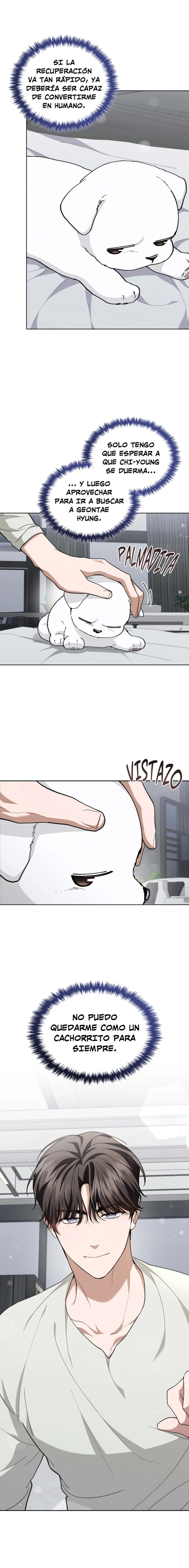 13 No toques al perro