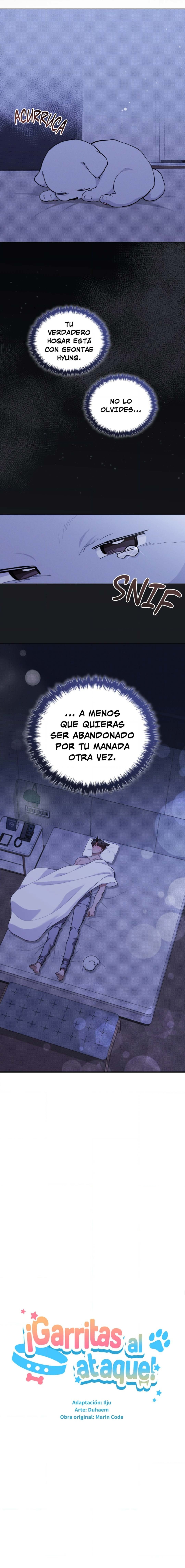 4 No toques al perro