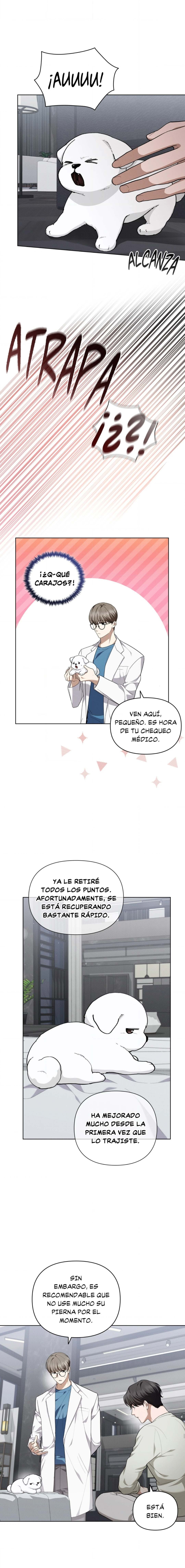 12 No toques al perro