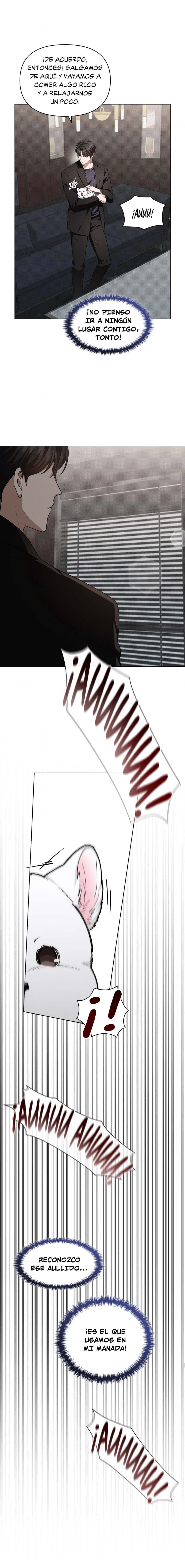 8 No toques al perro