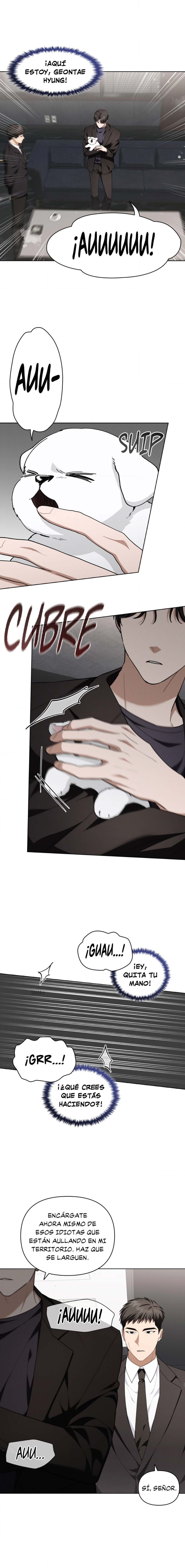 9 No toques al perro