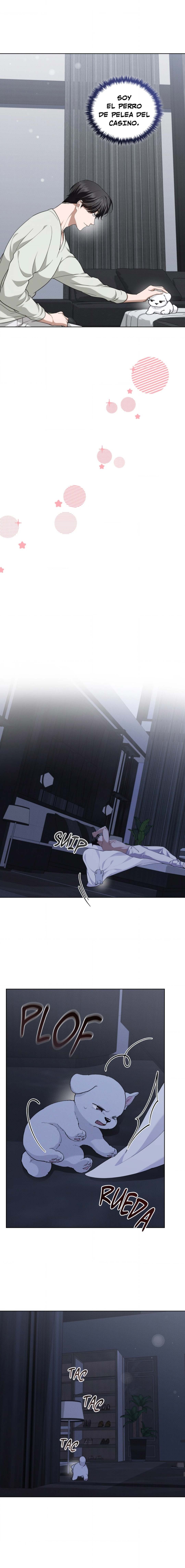 14 No toques al perro