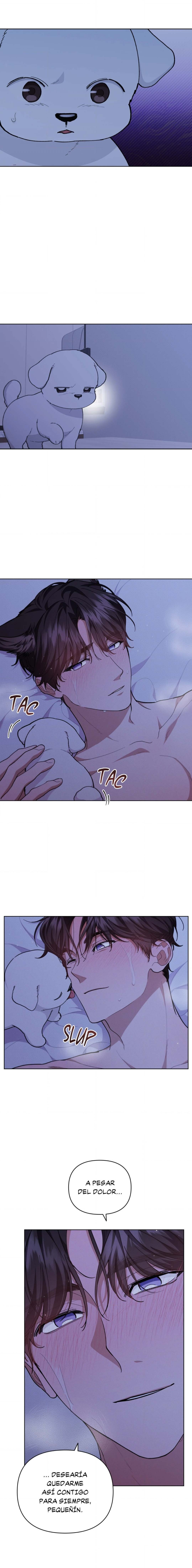 1 No toques al perro