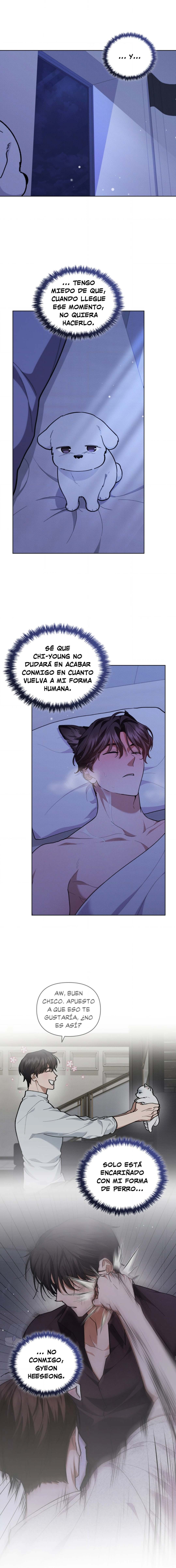 3 No toques al perro