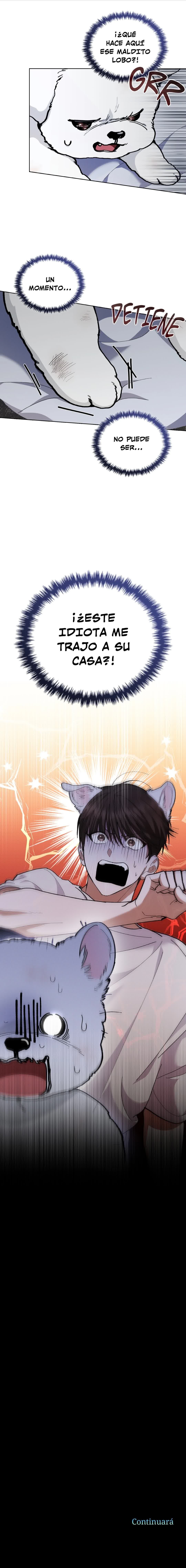 8 No toques al perro