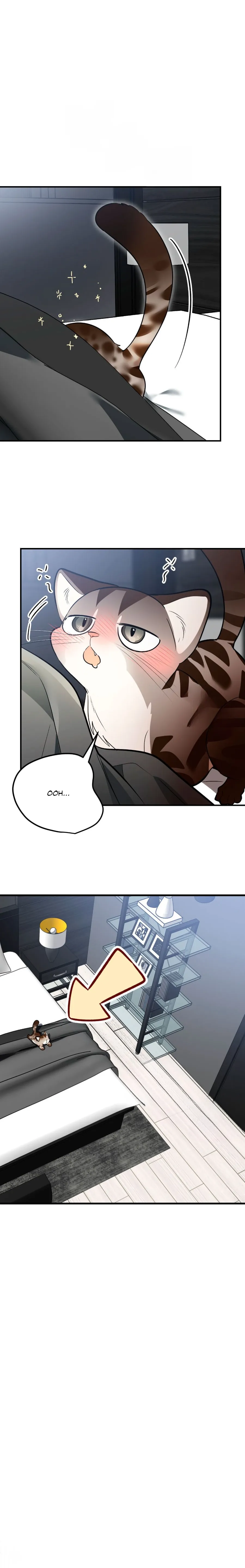 40 ¡Dame un cachorro leopardo si no quieres verme enloquecer!