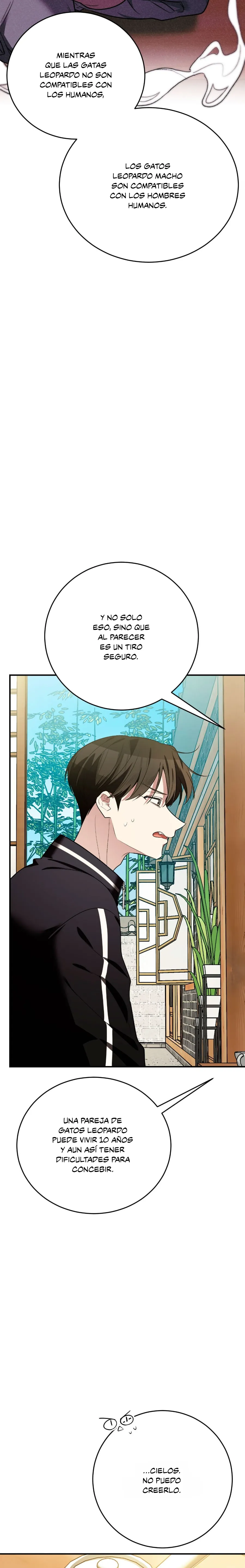 22 ¡Dame un cachorro leopardo si no quieres verme enloquecer!