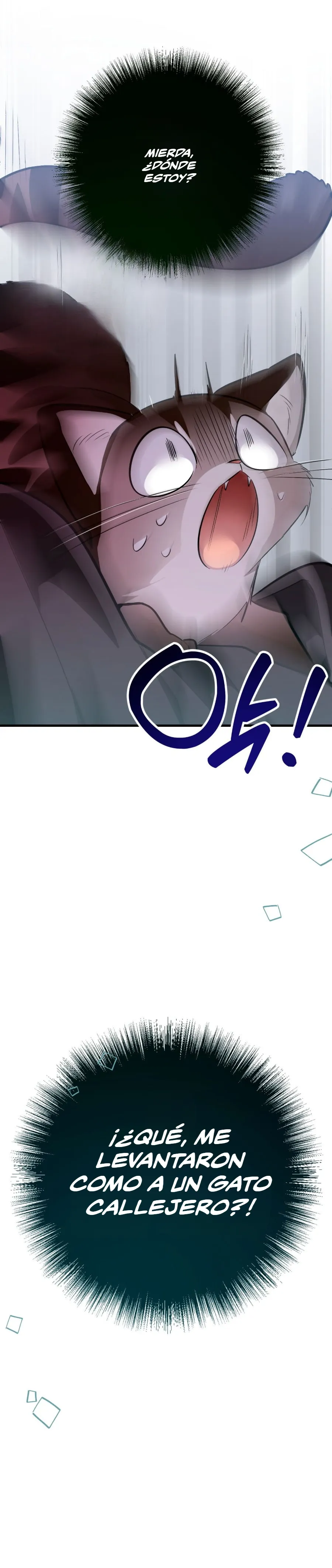 41 ¡Dame un cachorro leopardo si no quieres verme enloquecer!