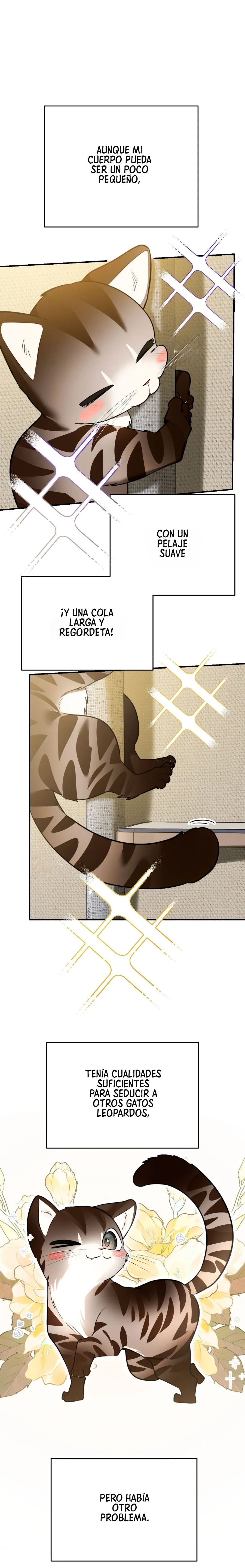 13 ¡Dame un cachorro leopardo si no quieres verme enloquecer!