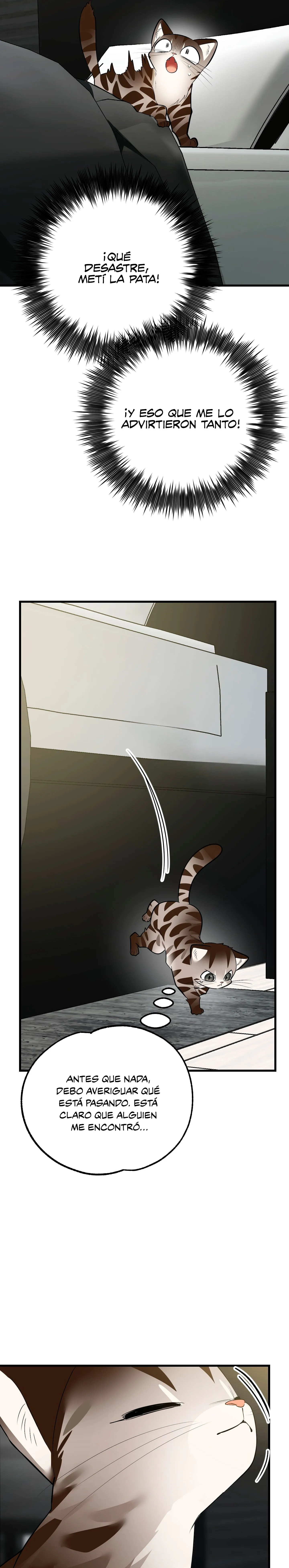 6 ¡Dame un cachorro leopardo si no quieres verme enloquecer!