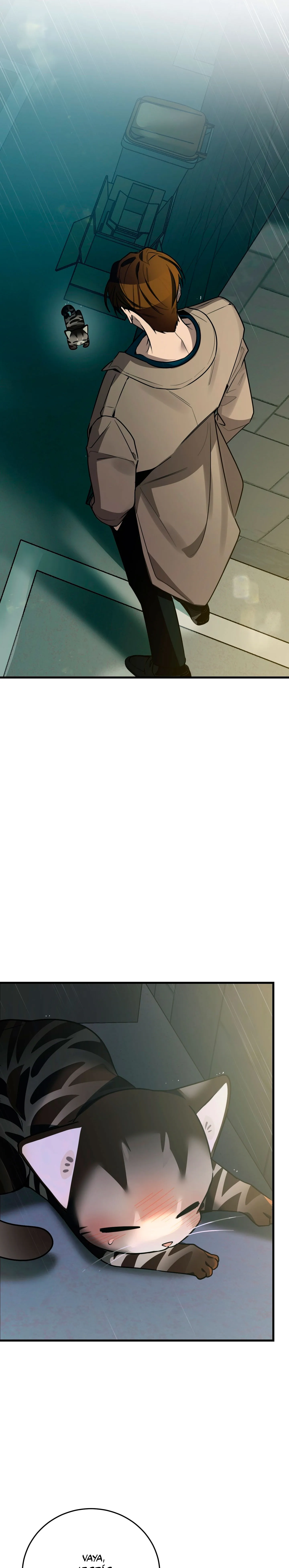 64 ¡Dame un cachorro leopardo si no quieres verme enloquecer!