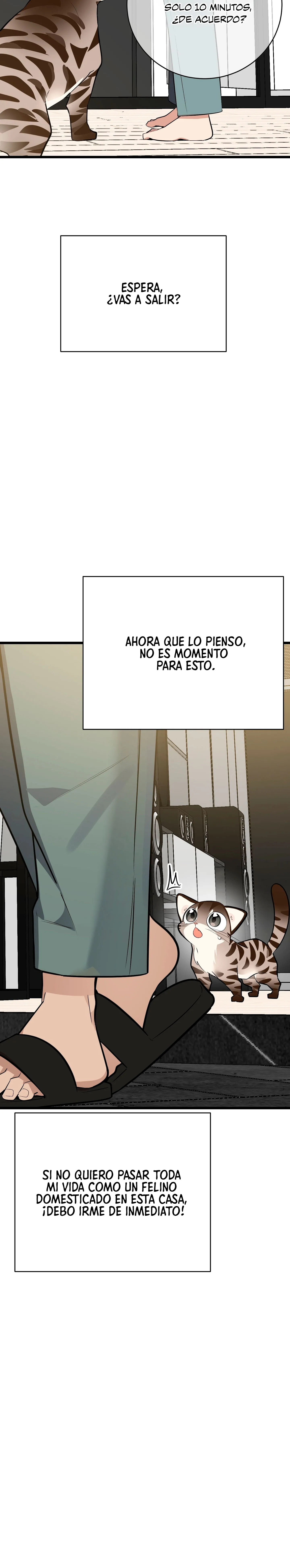 22 ¡Dame un cachorro leopardo si no quieres verme enloquecer!